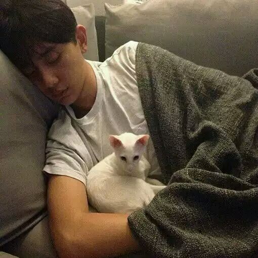 ʲô�ǳ���ȩ�������̿�����������ӵ���������