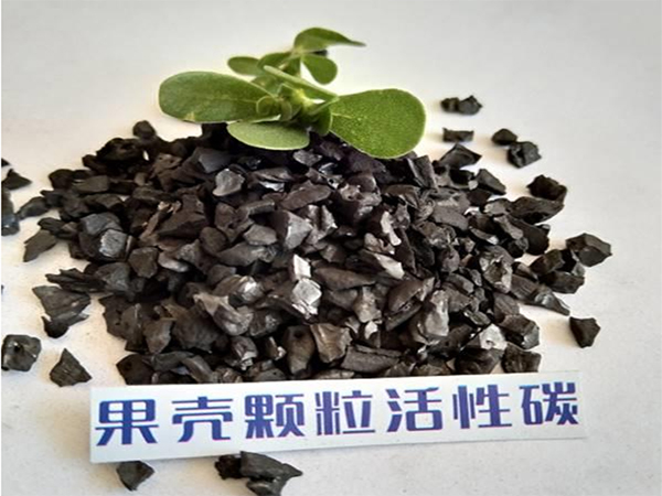 �្�����������ἰ�������л���̿������