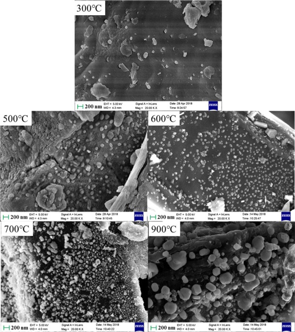 �����еĹ��û���̿��ȥ����